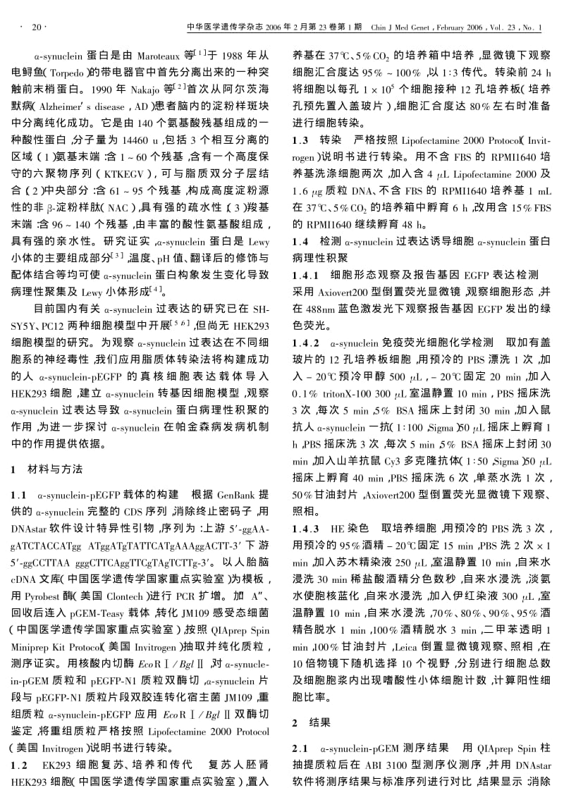 αSYNUCLEIN基因过度表达诱导HEK293细胞αSYNUCLEIN蛋白病理性积聚.pdf_第2页