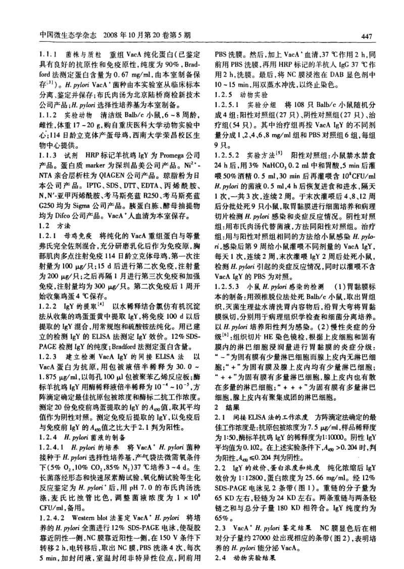 抗重组VACA IGY体内抗幽门螺杆菌感染的实验研究.pdf_第2页