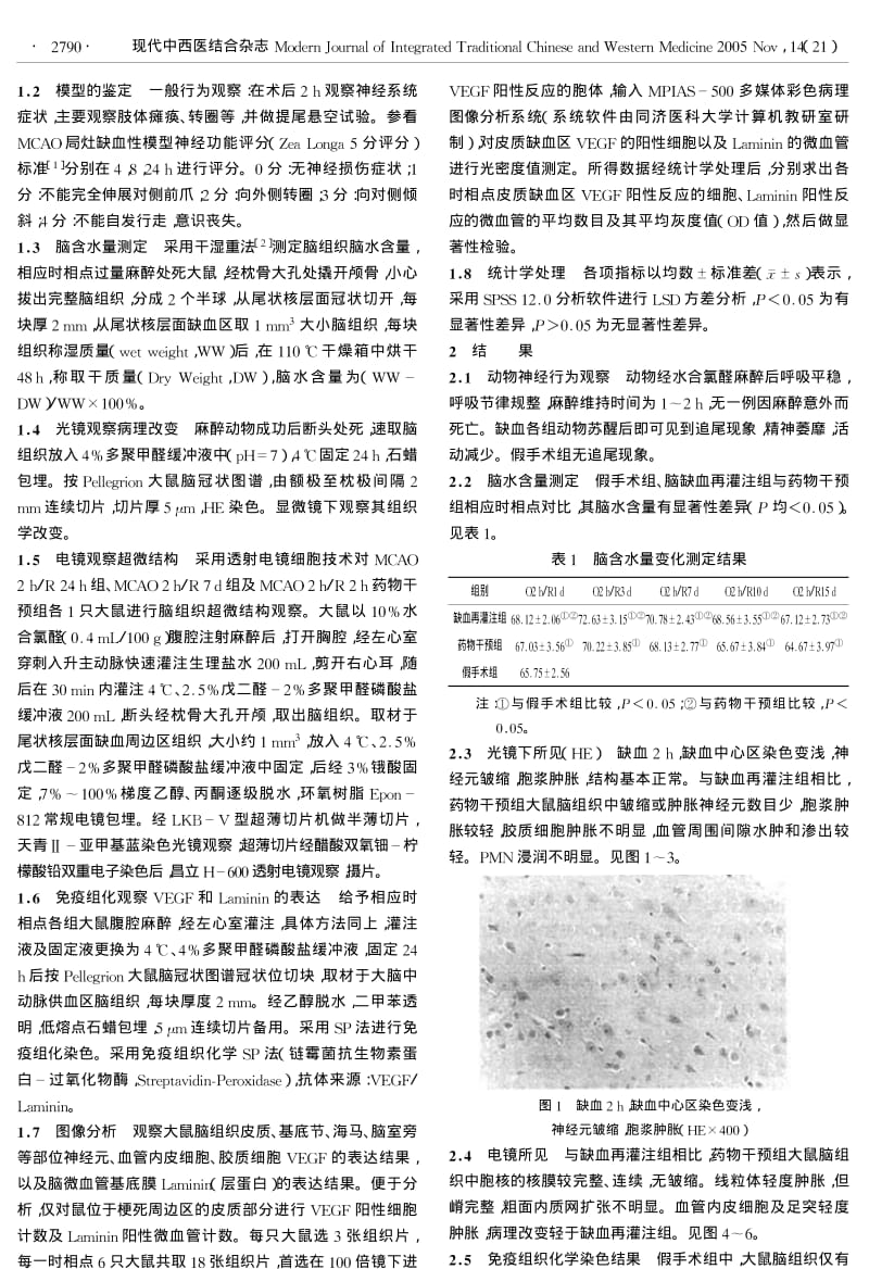 普洛迪注射液对大鼠局灶脑缺血再灌注性损伤的保护作用.pdf_第2页