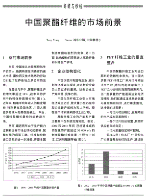 中国聚酯纤维的市场前景.pdf