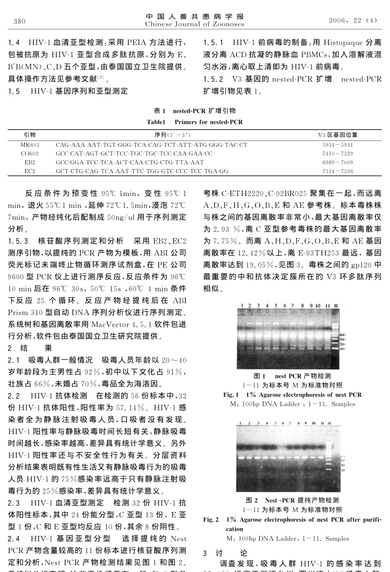 广西西部地区吸毒人群HIV1毒株基因序列测定和亚型分析.pdf_第2页