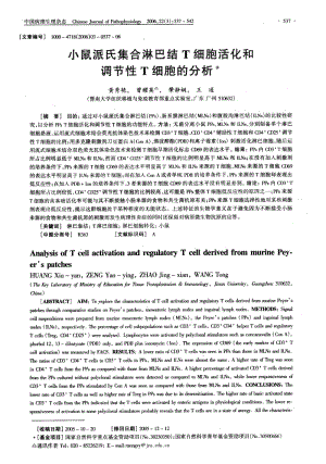 小鼠派氏集合淋巴结T细胞活化和调节性T细胞的分析.pdf