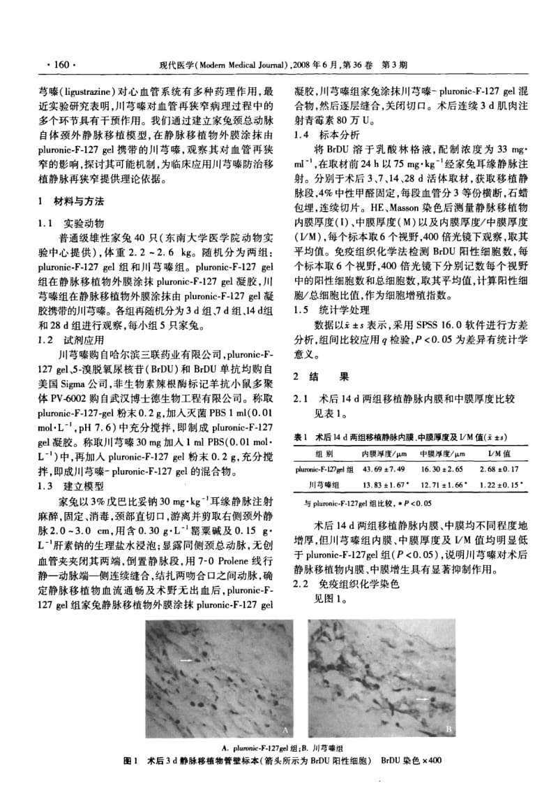 外膜涂抹川芎嗪防治静脉移植物再狭窄的实验研究.pdf_第2页