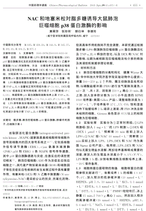 NAC和地塞米松对脂多糖诱导大鼠肺泡巨噬细胞p38蛋白激酶的影响.pdf