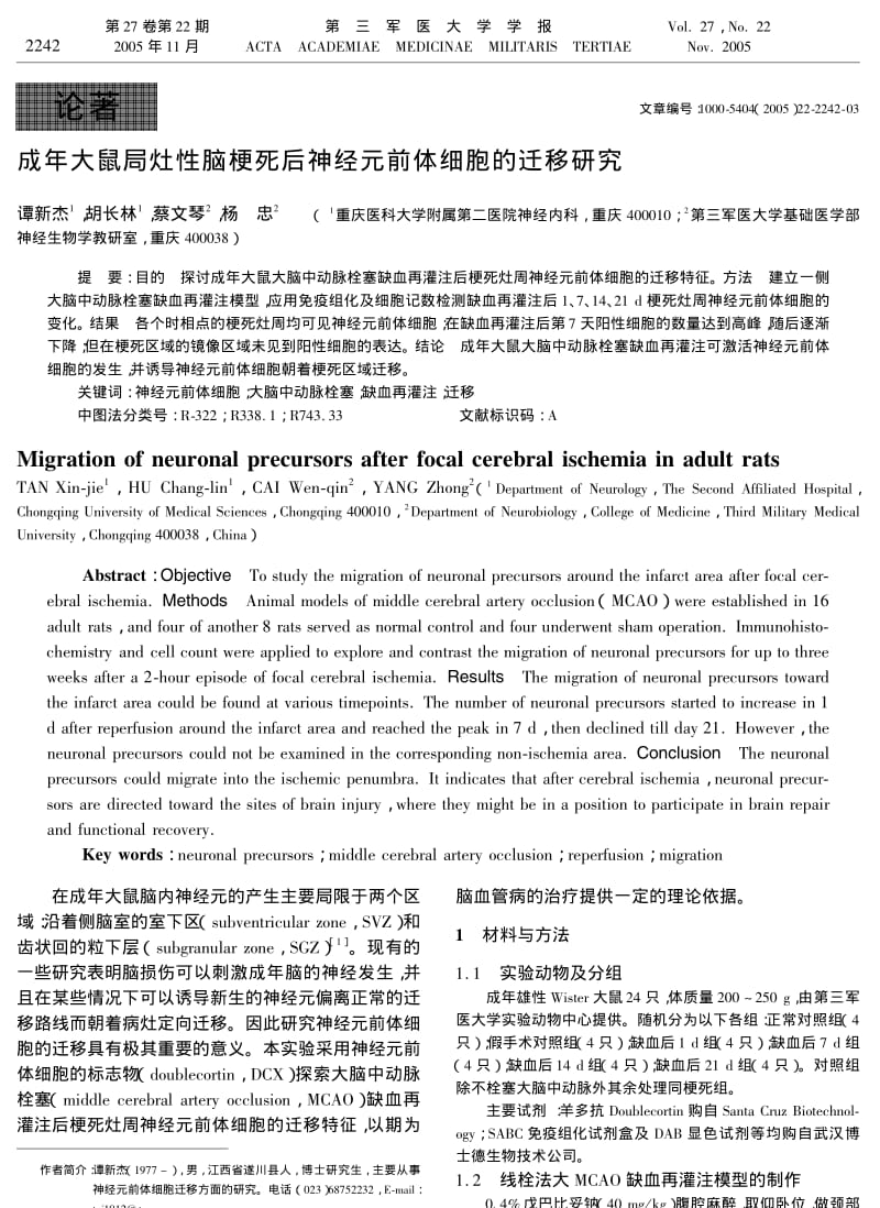 成年大鼠局灶性脑梗死后神经元前体细胞的迁移研究.pdf_第1页