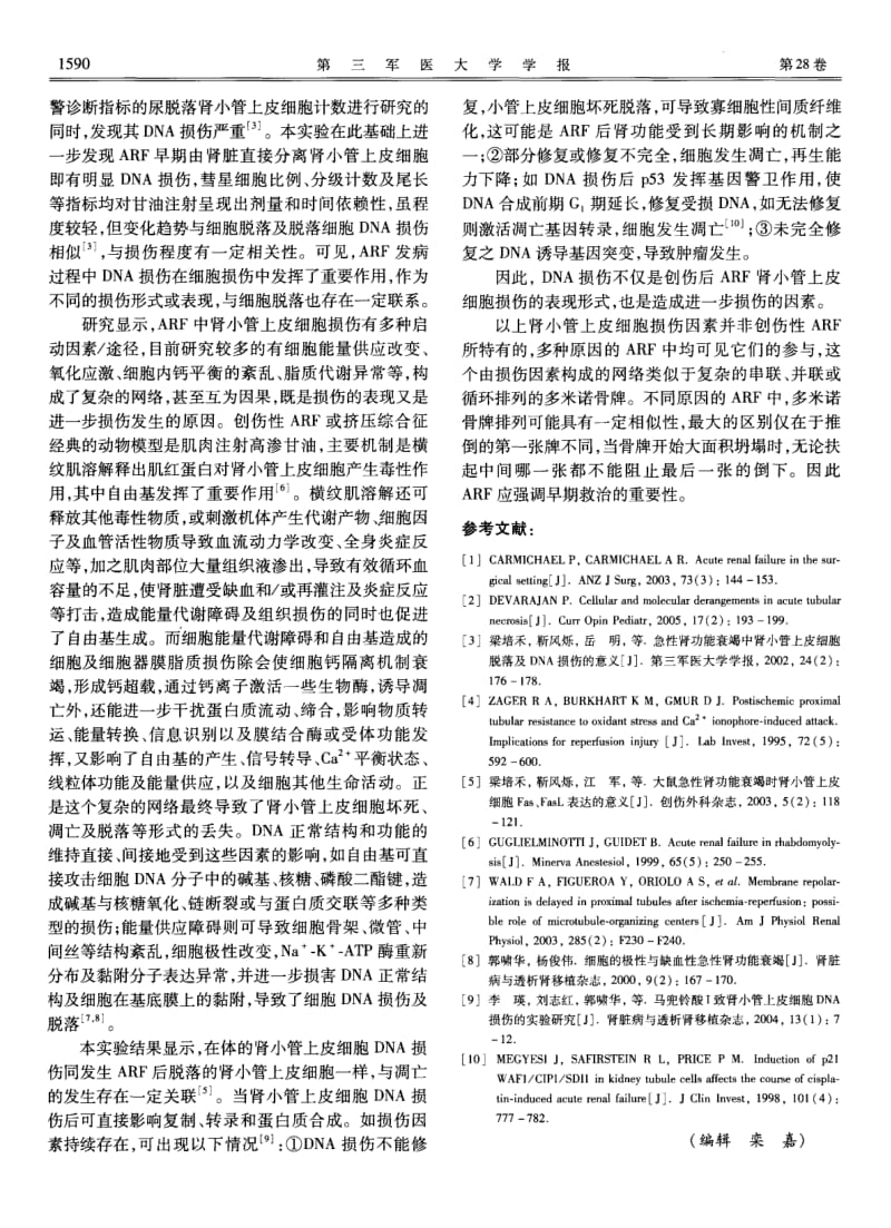 创伤性急性肾衰时肾脏分离肾小管上皮细胞DNA损伤的意义.pdf_第3页