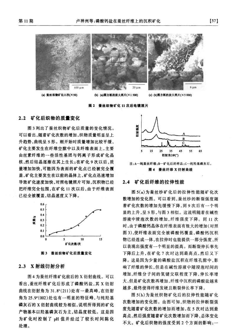 磷酸钙盐在蚕丝纤维上的沉积矿化.pdf_第3页