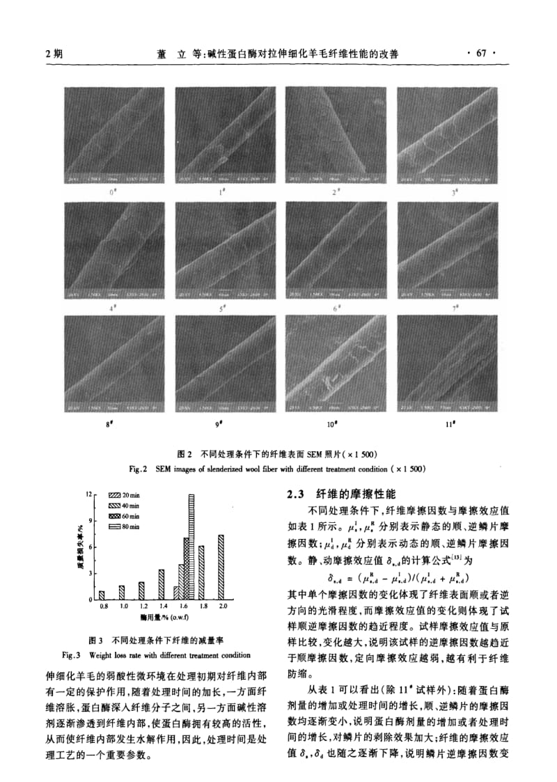 碱性蛋白酶对拉伸细化羊毛纤维性能的改善.pdf_第3页