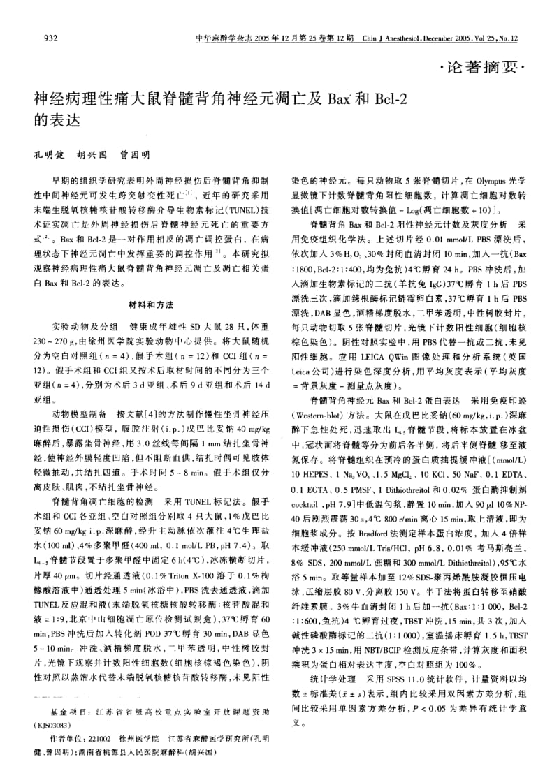 神经病理性痛大鼠脊髓背角神经元凋亡及BAX和BCL2的表达.pdf_第1页