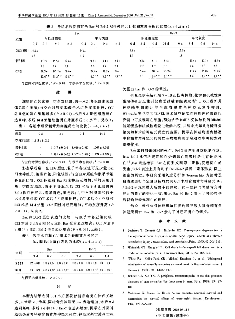 神经病理性痛大鼠脊髓背角神经元凋亡及BAX和BCL2的表达.pdf_第2页