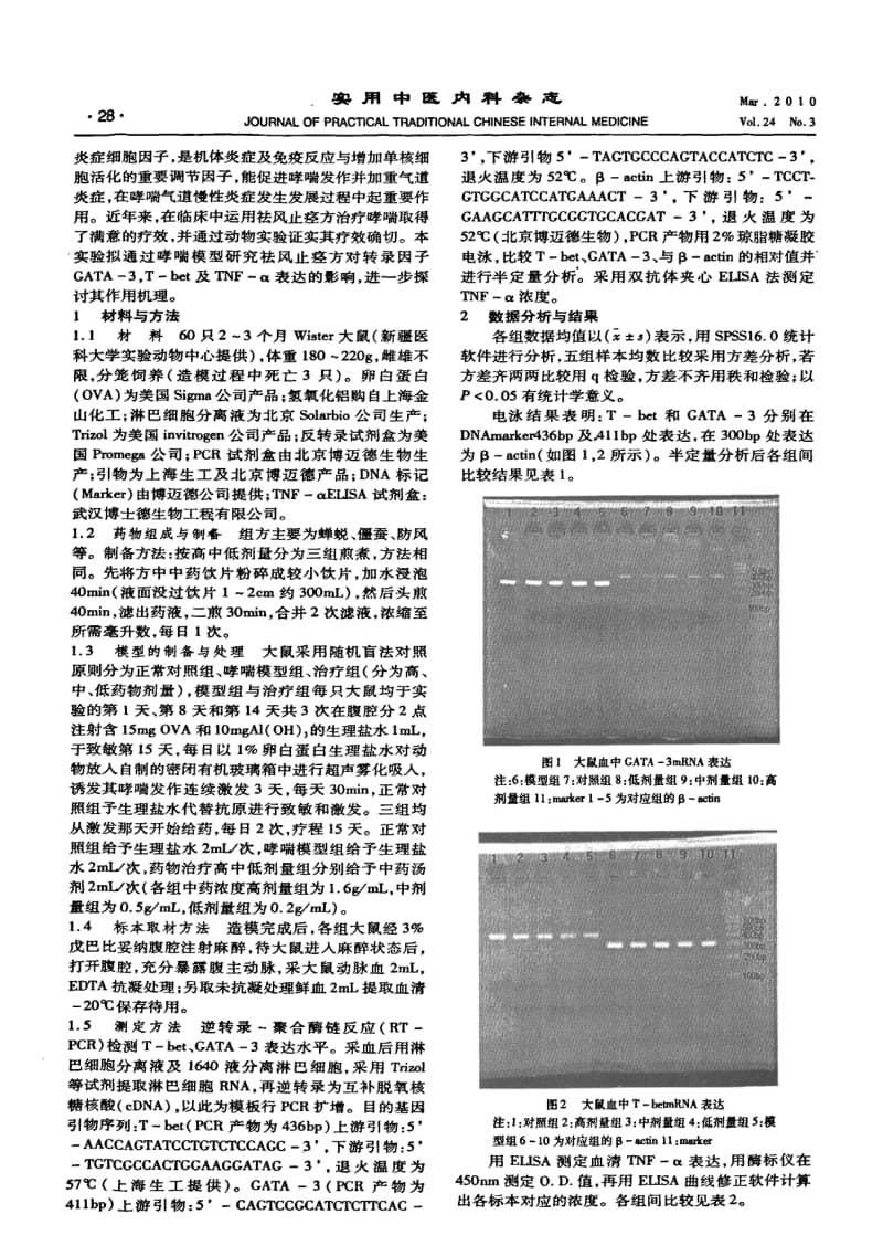 祛风止痉方对哮喘大鼠转录因子T-bet GATA-3及TNF-α的调节作用.pdf_第2页