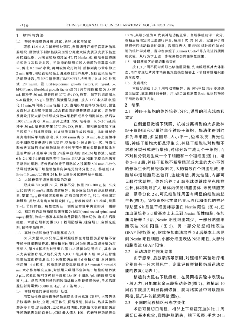 神经干细胞移植修复大鼠脊髓半切伤的研究.pdf_第2页