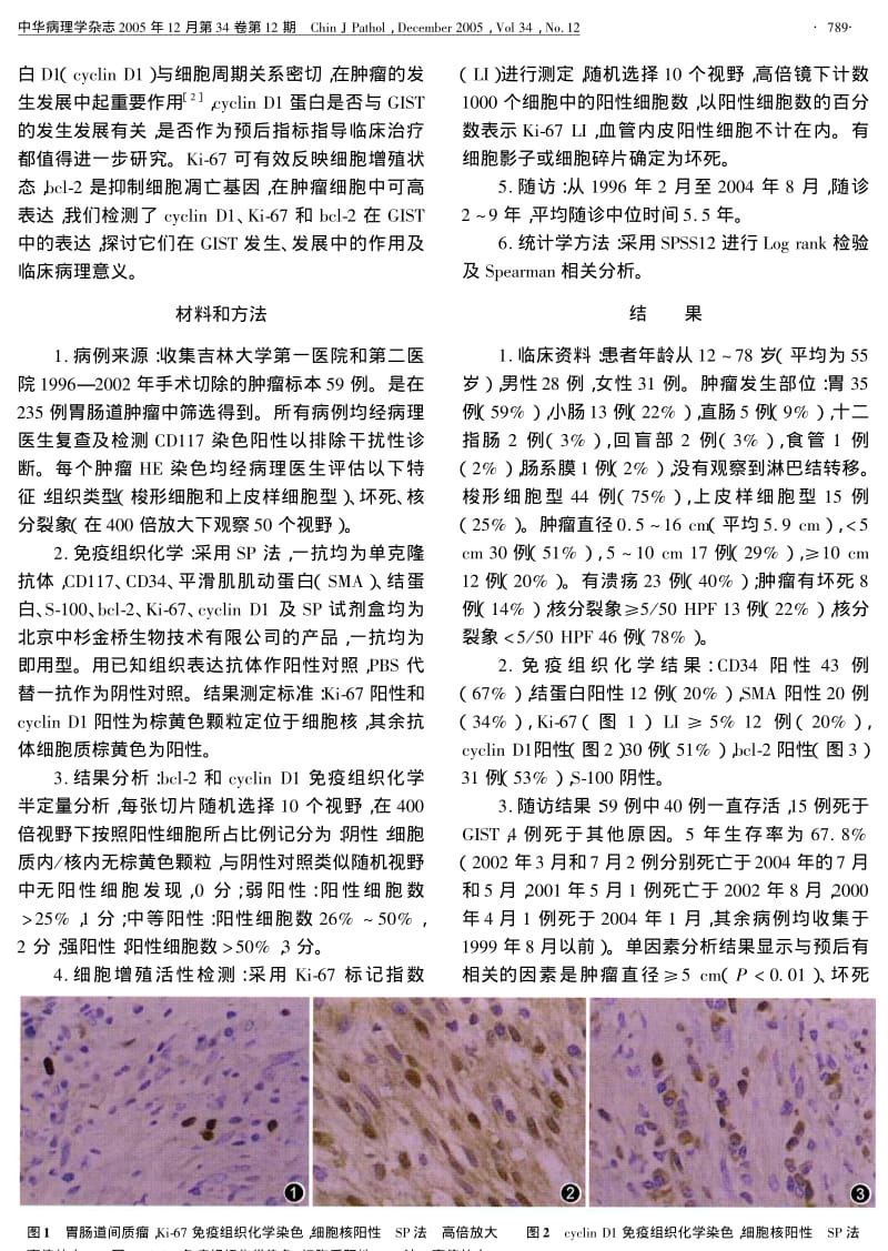 细胞周期蛋白D1、KI67和BCL2的表达与CD117阳性的胃肠道间质瘤生物学行为的关系.pdf_第2页