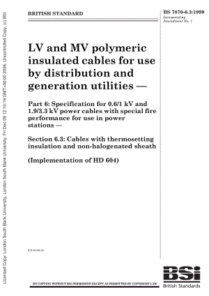 BS-7870-6.3-1999.pdf