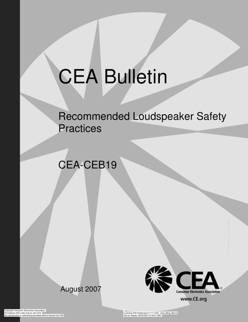 CEA-CEB19-2007.pdf_第1页