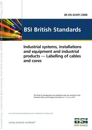 BS-EN-62491-2008.pdf