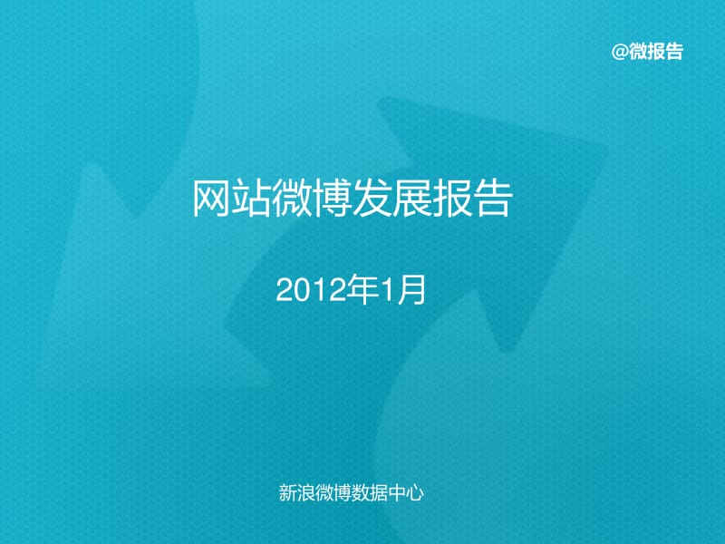 1月网站微博发展报告.pdf_第1页