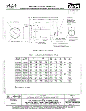 NAS-6203-6220-2009.pdf