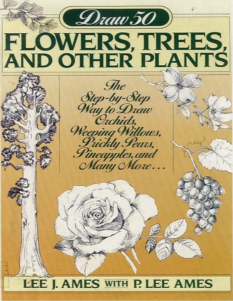 （英文原版）50种花的绘画技法（FLOWERS TREES AND OTHER PLANTS） .pdf_第1页