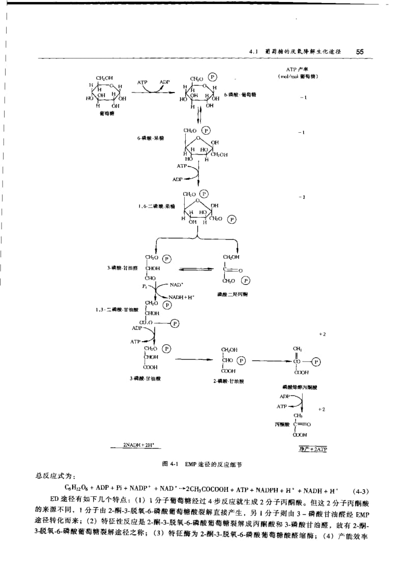 【废水处理】厌氧生物处理生化机理.pdf_第2页