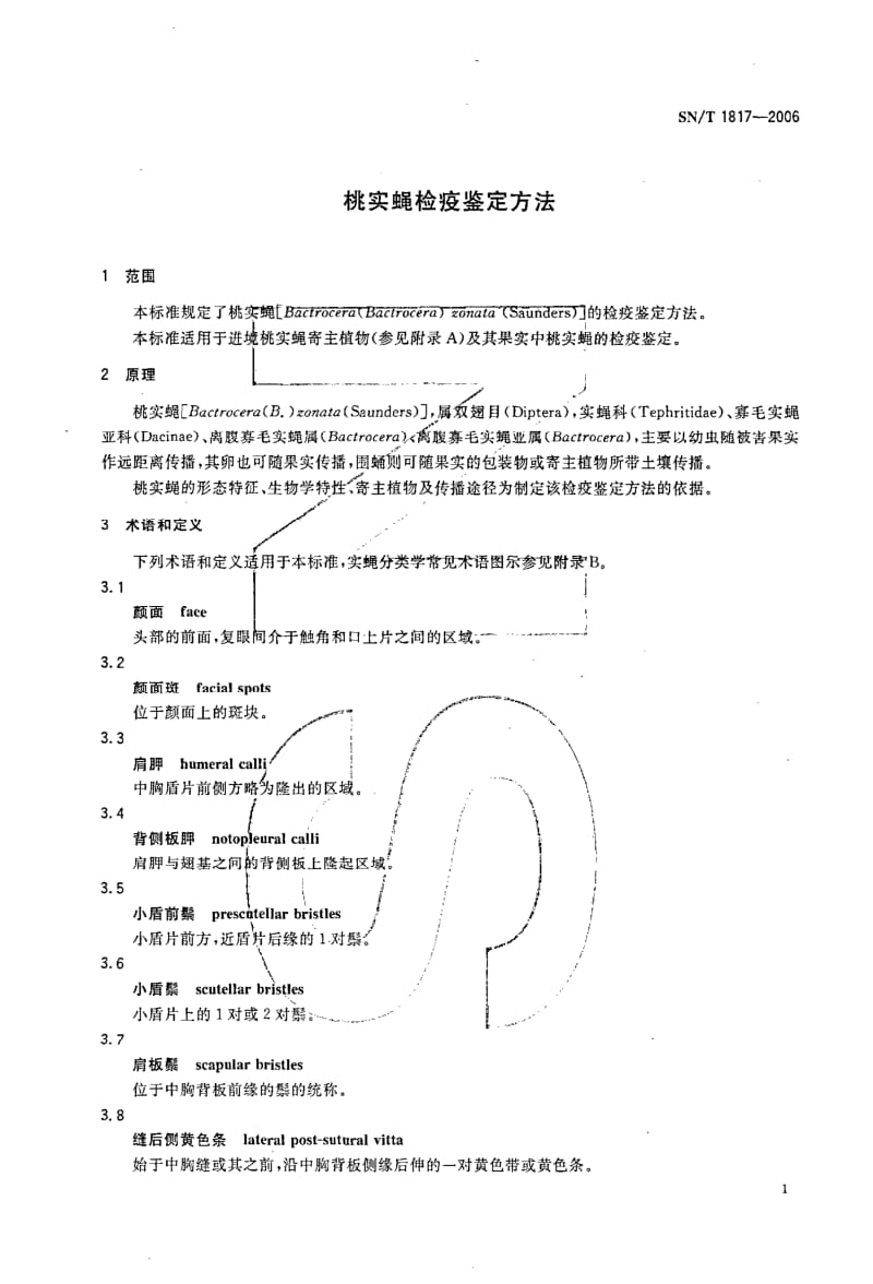 SN-T-1817-2006.pdf_第3页