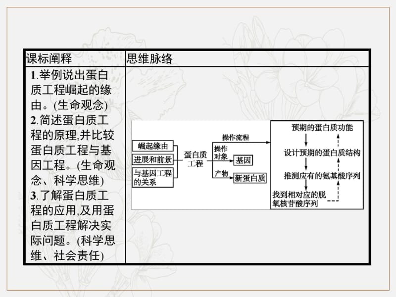 2019-2020学年人教版生物选修三同步课件：1.4　蛋白质工程的崛起.pdf_第2页