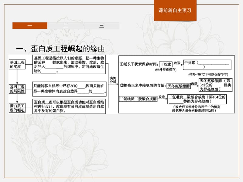 2019-2020学年人教版生物选修三同步课件：1.4　蛋白质工程的崛起.pdf_第3页