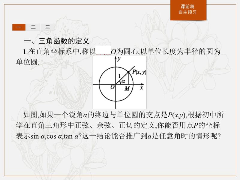 2019-2020学年新一线同步人教A版数学必修一课件：5.2.1　三角函数的概念 .pdf_第3页