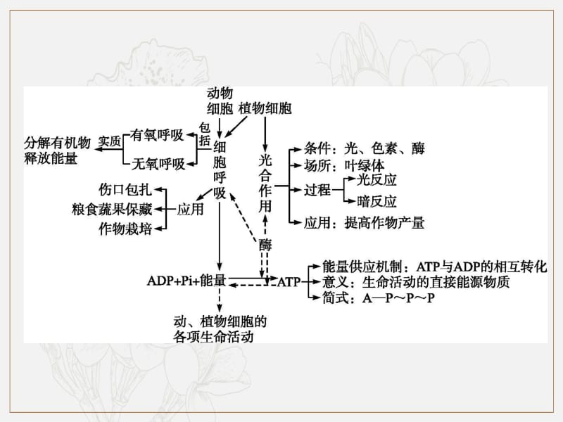 2019_2020学年高中生物第四章光合作用和细胞呼吸本章整合课件苏教版必修.pdf_第2页