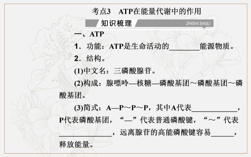 2019-2020年金版学案 生物高中学业水平测试课件：专题三 考点3 ATP在能量代谢中的作用 .pdf_第2页