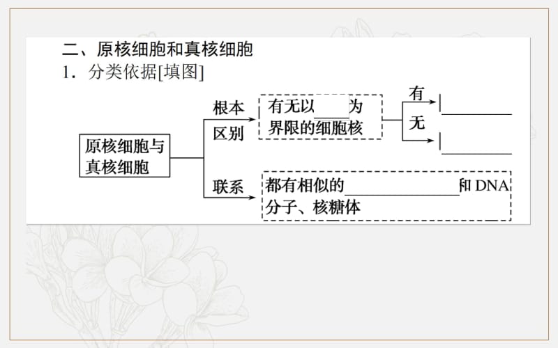 2019-2020学年高中生物人教版必修1课件：1.2 细胞的多样性和统一性 .pdf_第3页