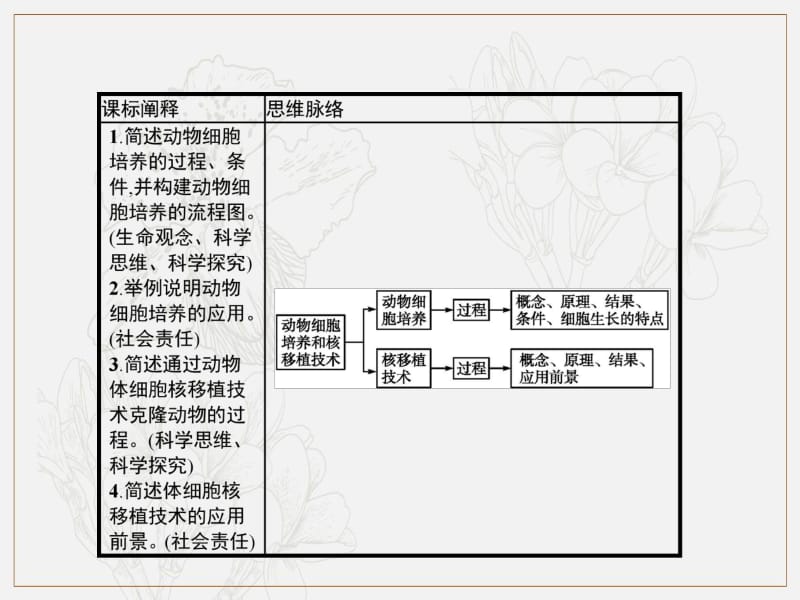 2019-2020学年人教版生物选修三同步课件：2.2.1　动物细胞培养和核移植技术.pdf_第3页