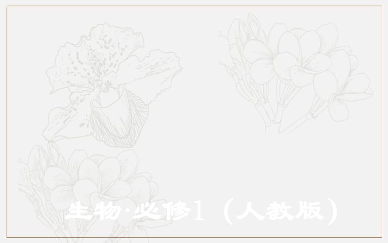 2019秋金版学案生物必修1（人教教）课件：第6章 第2节 细胞的分化 .pdf_第1页