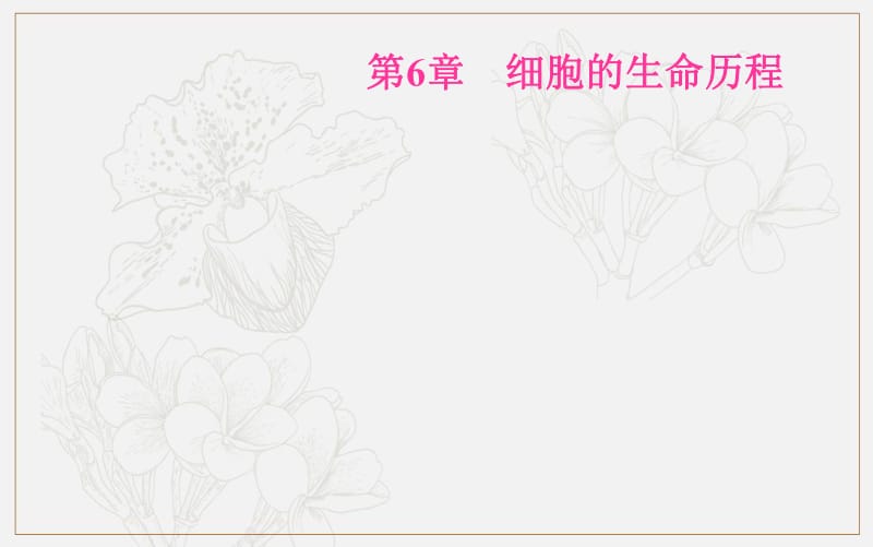 2019秋金版学案生物必修1（人教教）课件：第6章 第2节 细胞的分化 .pdf_第2页