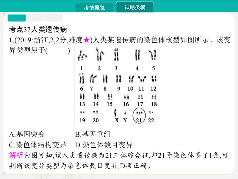 2020届高考生物一轮课件：专题十一　伴性遗传与人类遗传病 .pdf_第3页