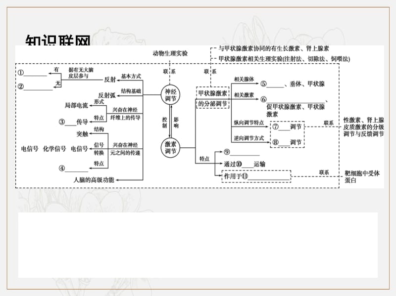 2020届高三生物二轮复习第9讲动物和人体生命活动的调节课件.pdf_第2页