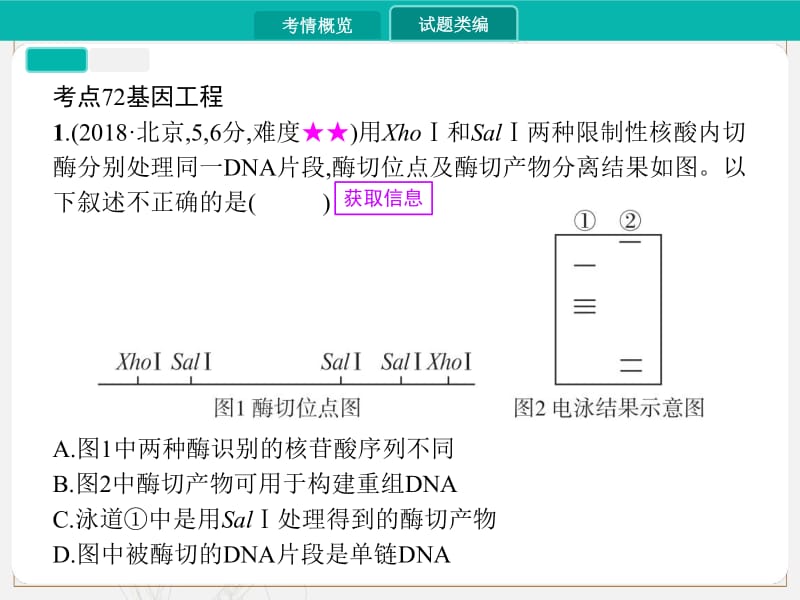 2020届高考生物一轮课件：专题二十四　基因工程 .pdf_第3页