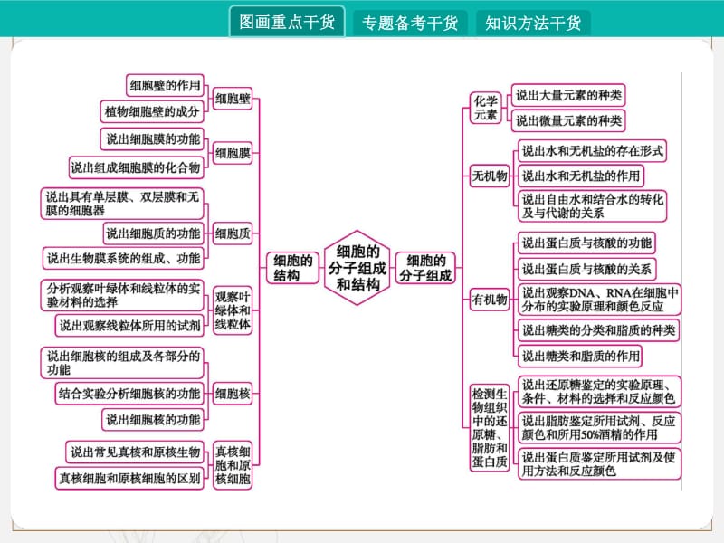 2020届高考生物一轮课件：第一讲　细胞的分子组成和结构 .pdf_第2页