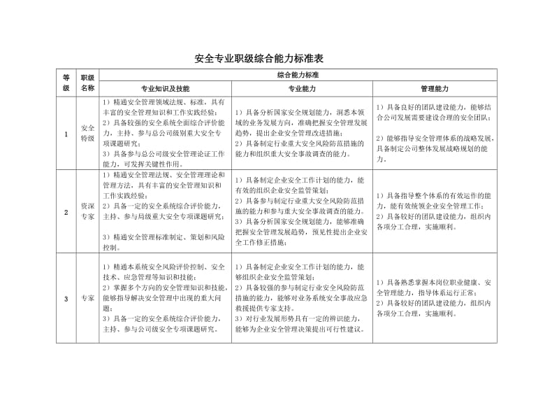 安全专业职级综合能力标准表.doc_第1页