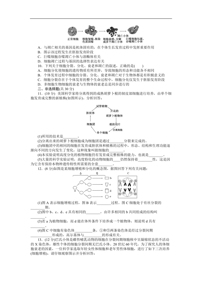 2019-2020学年高中生物苏教版必修一课时达标训练：（十七）　细胞分化、衰老和凋亡 Word版含解析.doc_第2页