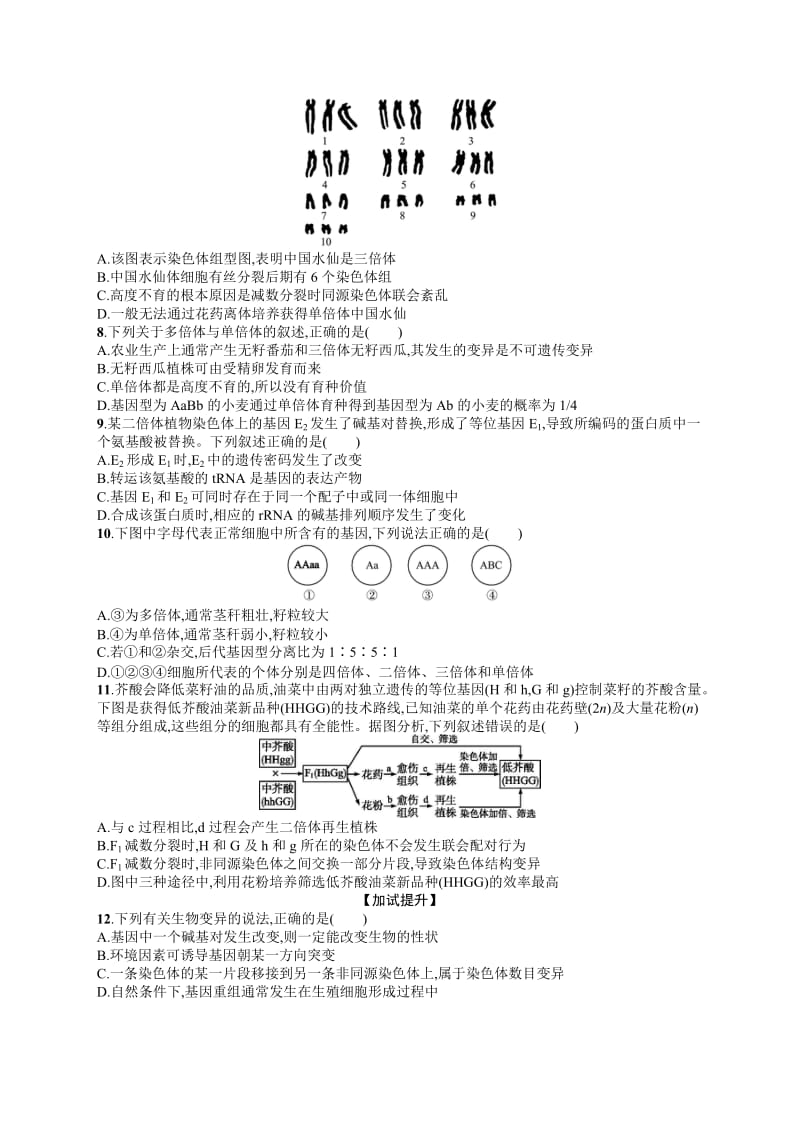 2020届浙江高考生物（选考）专题训练：13 生物的变异 Word版含解析.docx_第2页