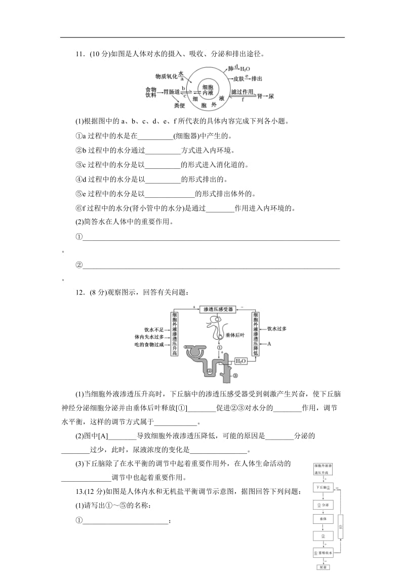 2019-2020学年高中生物苏教版必修三课时达标训练：（四）　水和无机盐的调节 Word版含解析.doc_第3页