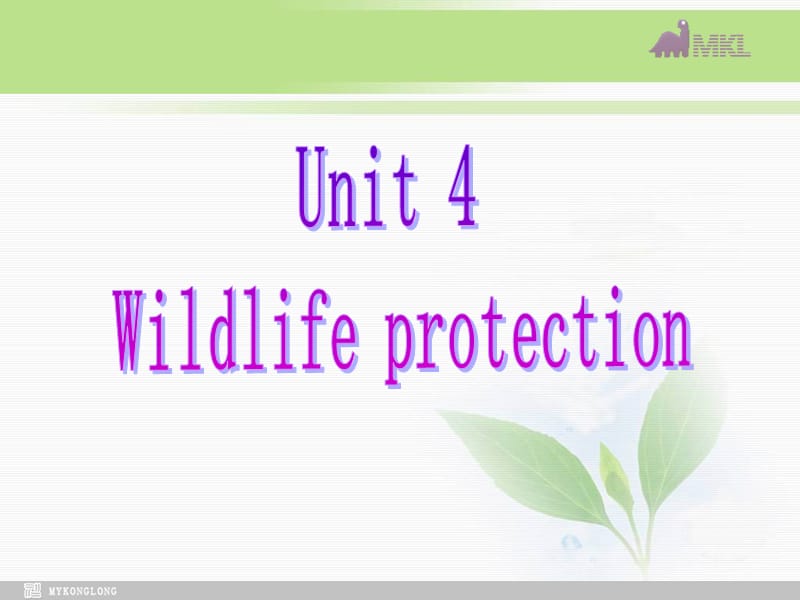 必修二 4.6《 Unit 4 Wildlife protection》.ppt_第2页
