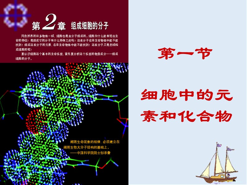 湖南省醴陵二中高一生物（必修一）课件：《2.1 细胞中的元素和化合物》 .ppt_第1页