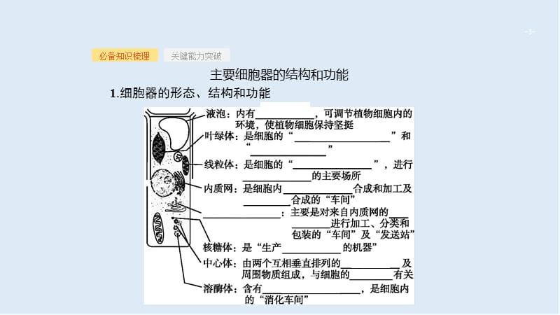 2020届高考生物二轮复习课件：第2单元细胞的基本结构细胞的物质输入和输出6细胞器__系统内的分工与合作 .ppt_第3页