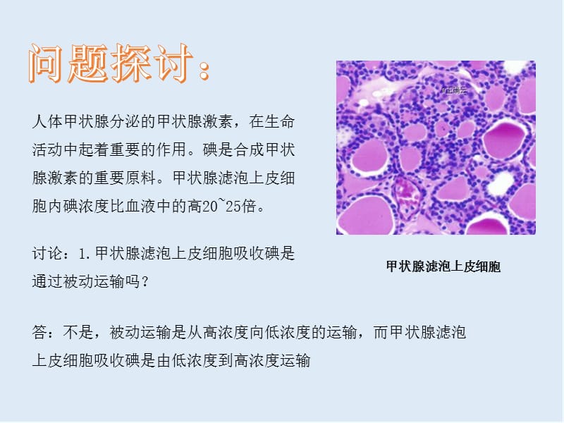 2019-2020学年高中生物人教版（2019）必修一课件：2.3细胞中的糖类和脂质 .ppt_第2页