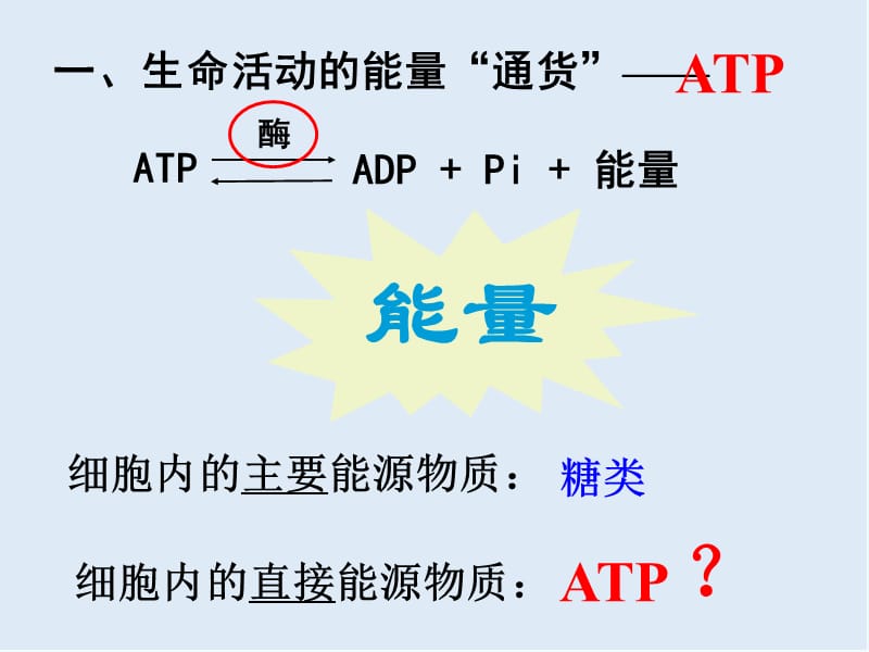 2020年高一生物苏教版必修1课件：4.1《ATP和酶》2 .ppt_第3页