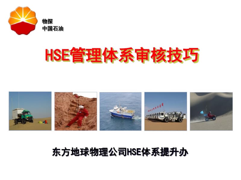 HSE管理体系审核技巧解读.pdf_第1页