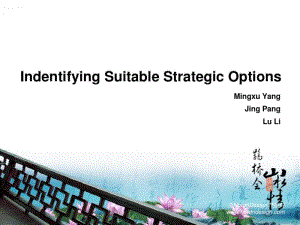 Businessstrategy(英文版)SWOT分析与安索夫矩阵解析.pdf