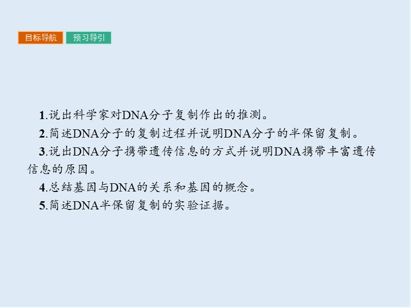 2019-2020学年高中生物人教版必修二（课件）：3.4 3.4 DNA的复制 基因是有遗传效应的DNA片段 .ppt_第2页